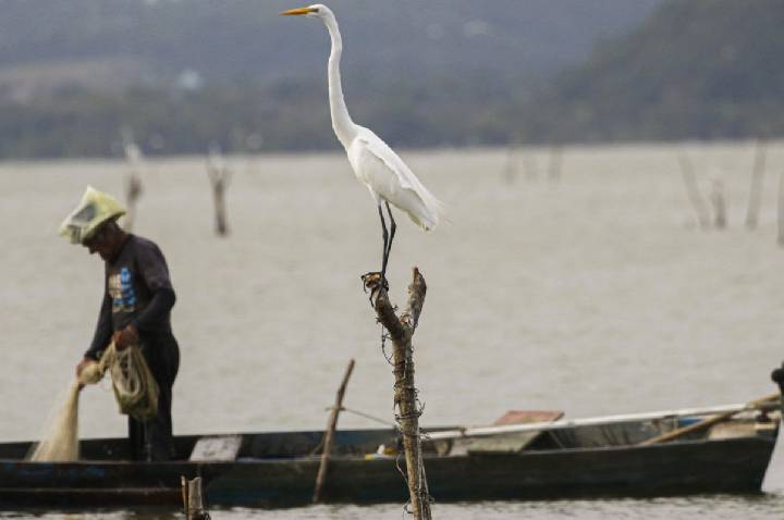 Mudanças aprovadas para o seguro-defeso previnem fraudes, diz relator