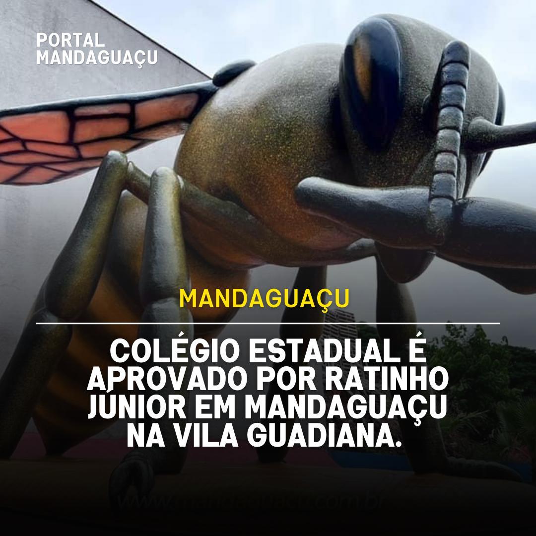 Aprovação de Colégio Estadual em Mandaguaçu é Anunciada pelo Deputado Soldado Adriano José